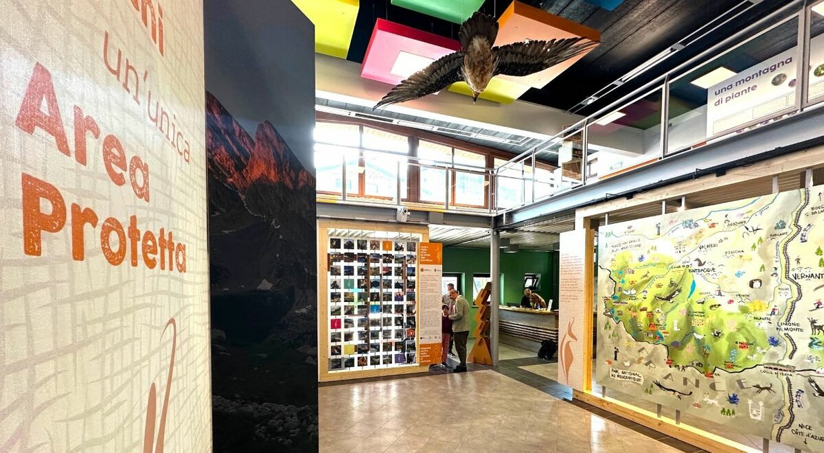 Descrizione foto Il Centro di visita di Vernante visto dall'interno; in alto il grande gipeto. Fine descrizione foto.